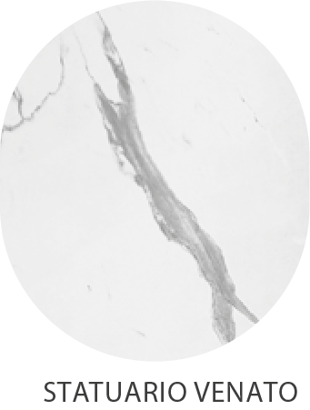 STATUARIO-VENATO_1@4x